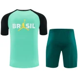 26-27 Brazil Jordan Light green Training Short Suit