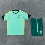 26-27 Brazil Jordan Light green Training Short Suit