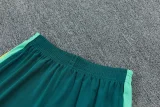 26-27 Brazil Light blue Training Short Suit