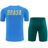 26-27 Brazil Light blue Training Short Suit