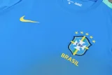 26-27 Brazil Light blue Training Short Suit