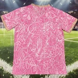 26-27 Brazil Pink Special Edition Fans Training shirts (小鹦鹉标 )