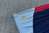 26-27 Bayern Gray Blue Training Short Suit