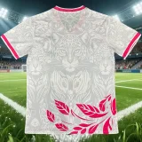 26-27 Brazil Pink White Special Edition Training shirts