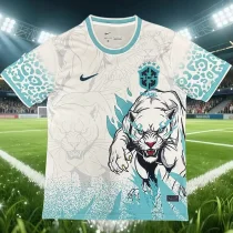 26-27 Brazil Blue White Special Edition Training shirts