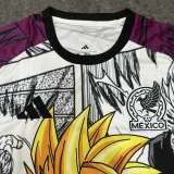 2026 Mexico Special Edition Fans Training Shirts (动漫版)