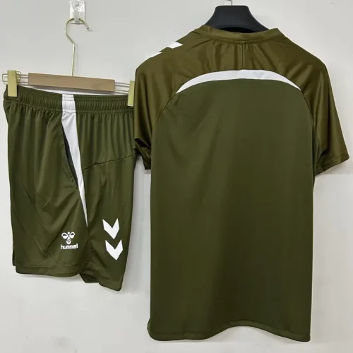 26-27 Celta Grey Training Short Suit