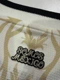 26-27 Mexico ‌Beige Special Edition Player Version Training shirts