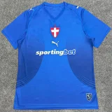 26-27 Palmeiras Third Fans Soccer Jersey