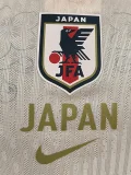 26-27 Japan Special Edition Player Version Training shirts