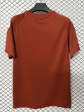 26-27 Sevilla Brown‌ Training shirts
