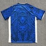 26-27 Brazil Blue Special Edition Training shirts (蓝豹)