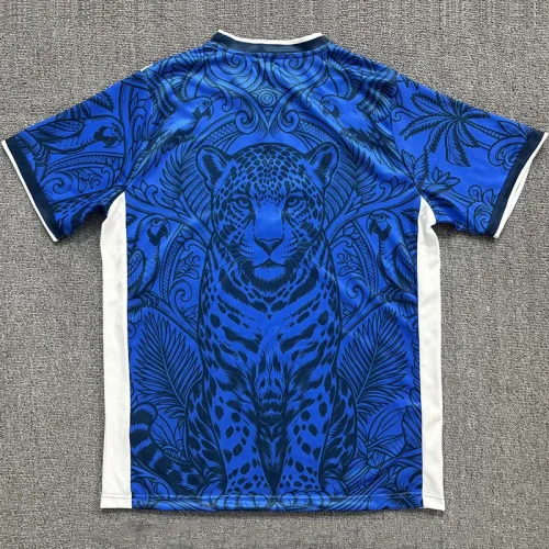 26-27 Brazil Blue Special Edition Training shirts (蓝豹)