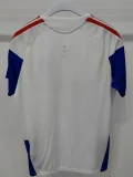 26-27 Bayern White Blue ‌Player Version Training Shirts