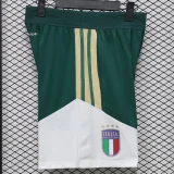 26-27 Italy Green White Player Version Shorts Pants(球员短裤)