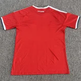 26-27 Czech AD Home Fans Soccer Jersey