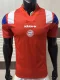 26-27 Bayern EQT Red Player Version Training Shirts