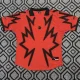 26-27 Canada Red Joint Edition Training shirts