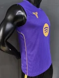 26-27 BAR Purple Player Version Training Vest (球员版)