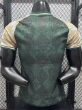 26-27 ARS Green Special Edition Player Version Training Shirts