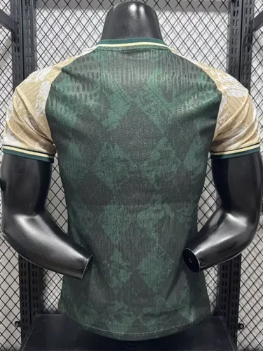 26-27 ARS Green Special Edition Player Version Training Shirts