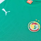 26-27 Senegal Green Training Short Suit