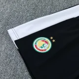 26-27 Senegal Green Training Short Suit