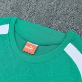 26-27 Senegal Green Training Short Suit