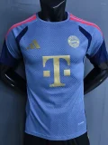 26-27 Bayern Grey ‌Player Version Training Shirts