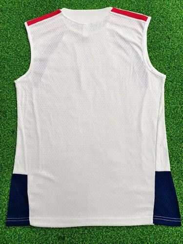26-27 Bayern Beige ‌Player Version Training Vest (球员版)