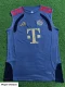 26-27 Bayern Grey ‌Player Version Training Vest (球员版)