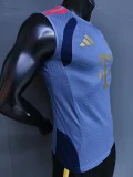 26-27 Bayern Grey ‌Player Version Training Vest (球员版)