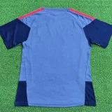 26-27 Bayern Grey Player Version Training Short Suit (球员短套装)