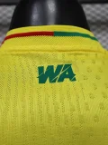 26-27 Mali Away Player Version Soccer Jersey (WA)