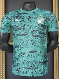 26-27 Ivory Coast Green Special Edition Player Version Training Shirts