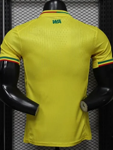 26-27 Mali Away Player Version Soccer Jersey (WA)