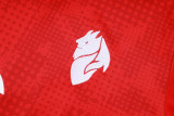 25-26 ACM Red Training Short Suit