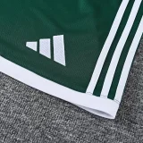 26-27 LIV Dark green Training Short Suit