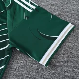 26-27 LIV Dark green Training Short Suit
