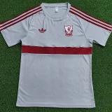 26-27 LIV White Casual Player Version Training Shirts