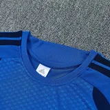 26-27 CHE Fancy blue Training Short Suit
