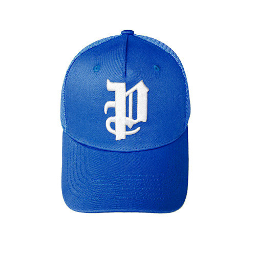 SMCL-2700 High Quality Purple Brand Hat