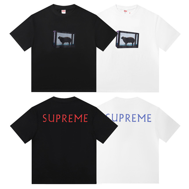 SMCL-2514 High Quality Supreme Cotton Shirt