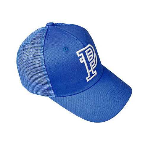 SMCL-2701 High Quality Purple Brand Hat