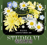 G【studiovi】 マスキングテープ 卷边弗朗 10m