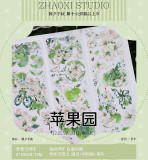 7【朝夕】マスキングテープ 苹果园 贝壳光