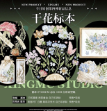 【幸目】マスキングテープ 干花标本 贝壳光