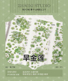 B【朝夕】マスキングテープ 旱金莲 贝壳光