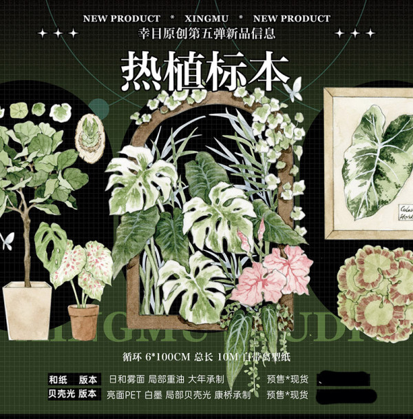 【幸目】マスキングテープ 热植标本 贝壳光