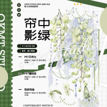 5月下発送【新七天】マスキングテープ 帘中影绿-PET贝壳光